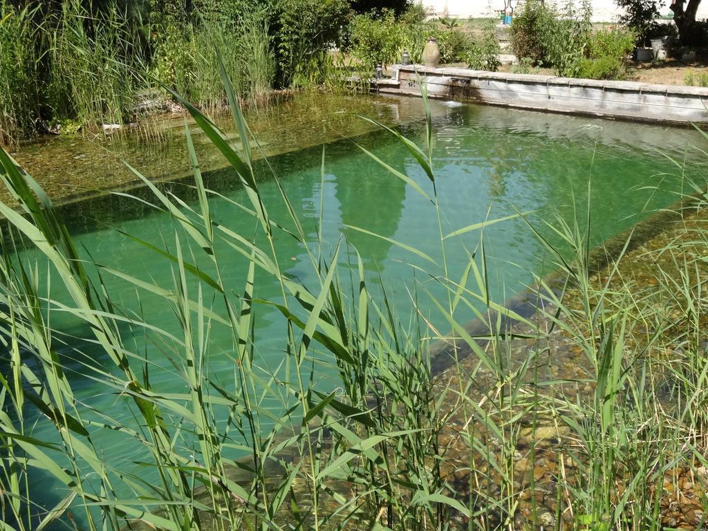 Jardin De Canaan Saint-Julien-de-Chedon Bagian luar foto